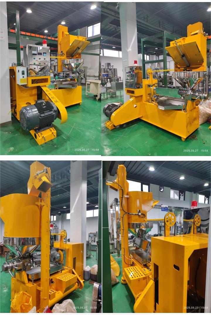 乐发榨油机厂家